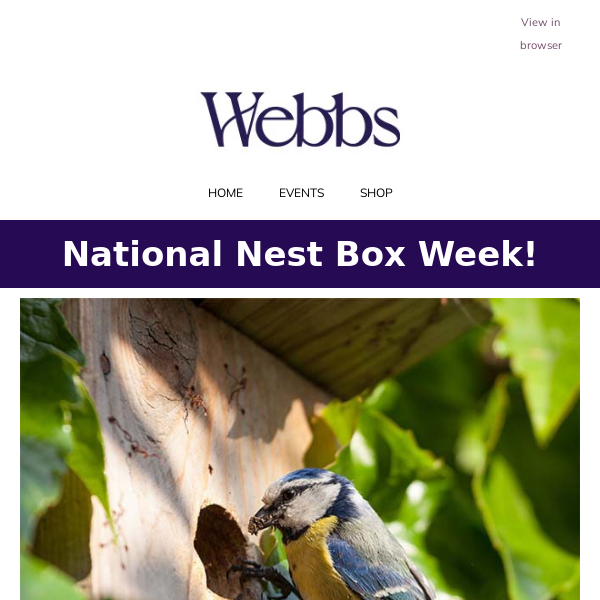 Nesting Season Is Here! Grab Your Bird Nest Boxes