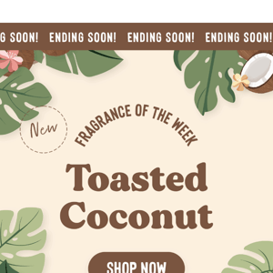 50% OFF Toasted Coconut 🤤