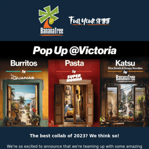 Visit our Pop Up this week!