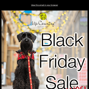 Black Friday Sale LAST CHANCE!! 🐾🎁