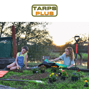 Tackle Your Projects this Spring with Tarps 🌸