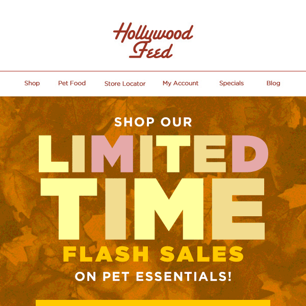 Hurry Hollywood Feed! Shop our Limited Time Flash Sales on Pet Essentials! 🤩