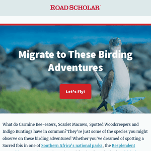 Birding adventures to check off your life list