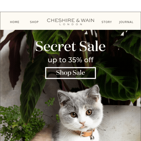 Secret Sale - up to 35% off 😻