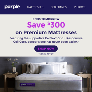 Sale Ending: Up to $800 off Mattress + Base