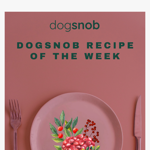 Dogsnob Recipe of the Week!