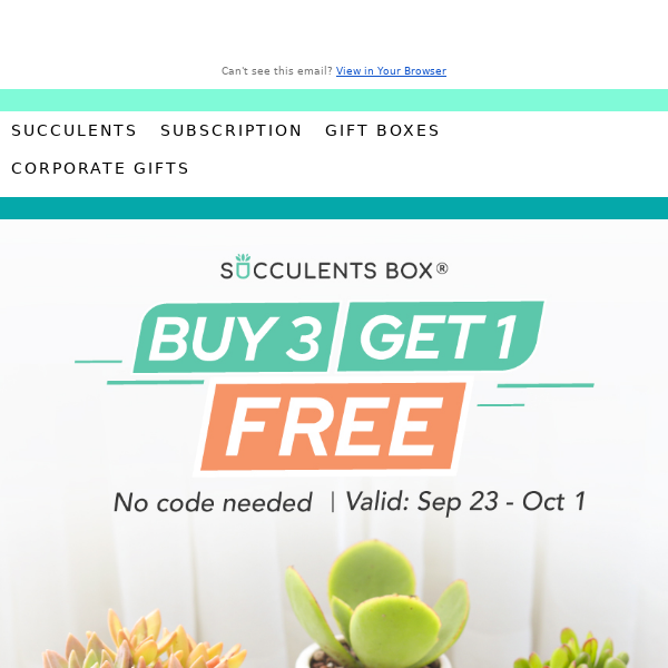 1 Free Plant - Buy 3 or More Today!