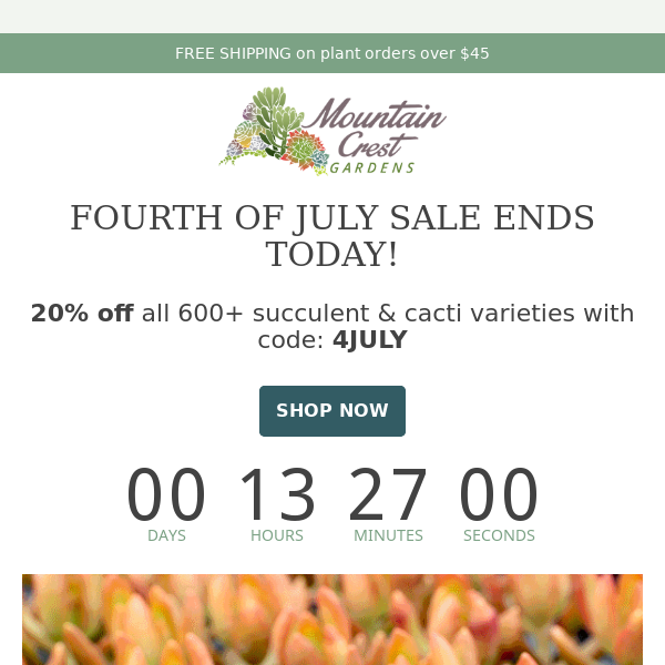 ENDS TODAY: Fourth of July Sale! 🌵
