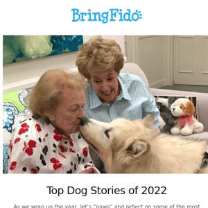 Top Dog Stories of 2022