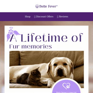 Remembering Your Furry Friend 🐾