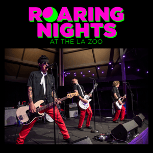 Roaring '80s Night: Don't miss it!