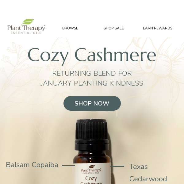 💖 Cozy Cashmere Essential Oil Blend is BACK 💖