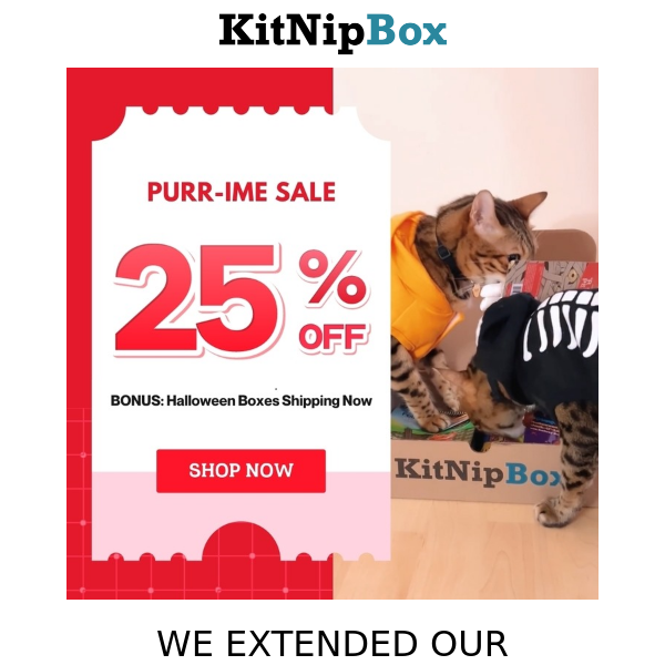 EXTENDED SALE: YOU CAN STILL SAVE 25% 🐈💸