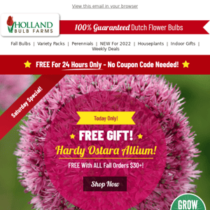 FREE Ostara Allium w/Orders $30+ TODAY ONLY!