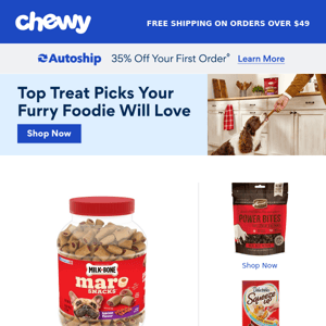 Fun Finds & Tasty Treats for Your Pet