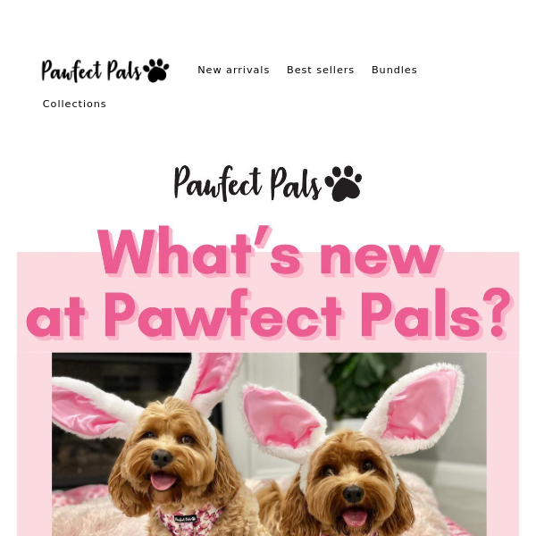 SNEAK PEEK: Be the first to see our Easter offerings! 🐰🐣🐶