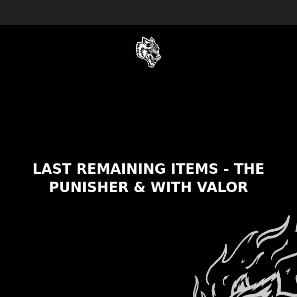 LAST REMAINING ITEMS - THE PUNISHER & WITH VALOR