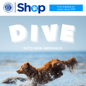 Dive into NEW Arrivals 🌊🐕