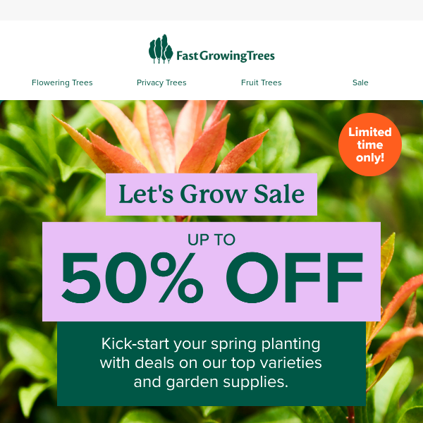 SALE on spring's favorite plants