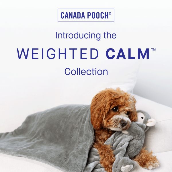 Weighted Dog Anxiety Toy | Canada Pooch