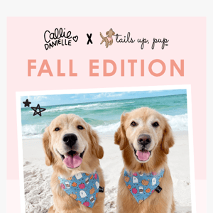 New Fall Treats 🐶👻🍂