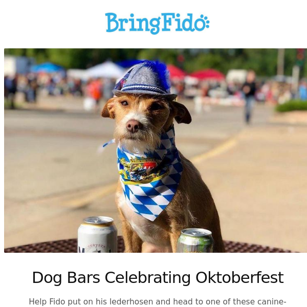 Dog Bars Celebrating Oktoberfest - BringFido