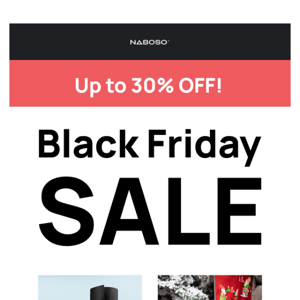 Get Up To 30% OFF Black Friday Sale