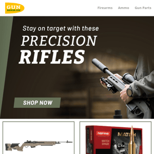 Stay on Target with these Precision Rifles