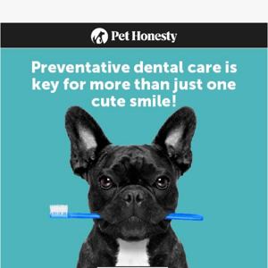 🦷 Keep your dog’s teeth healthy!