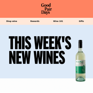 Three Wines for Do-Good Dog Lovers🍾🐕