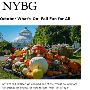 Don't Miss One of the Ultimate NYC Fall Bucket List Events! 🎃
