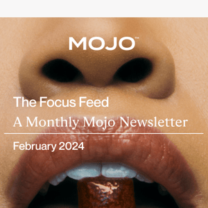 February's Focus: Steamy News in Your Mojo Newsletter 🔥