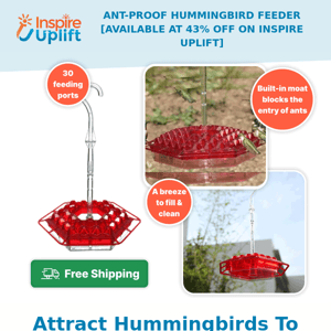 Attract Hummingbirds, Not Ants! Check out our Feeder