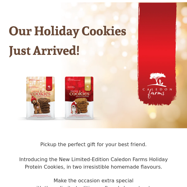 New Limited Edition Holiday Protein Cookies