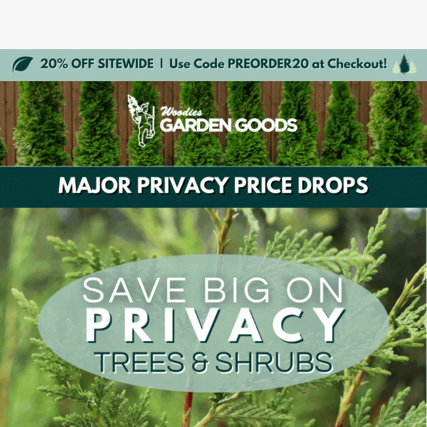 UP TO 50% OFF PRIVACY TREES!🌲🌲🌲