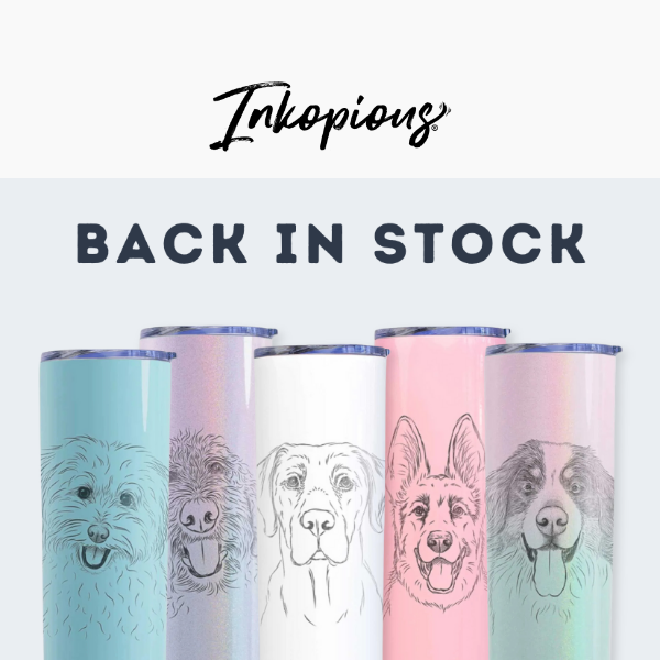 Our 20oz skinny tumbler is BACK IN STOCK! 😍