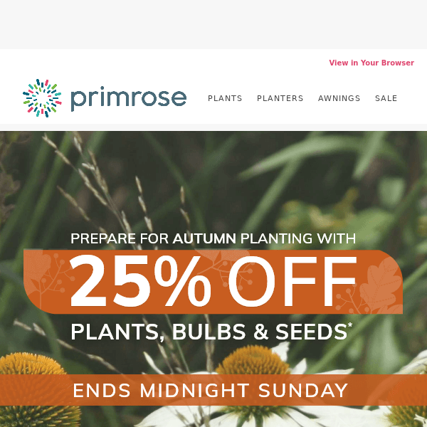 25% off Plants, Bulbs & Seeds 🌿