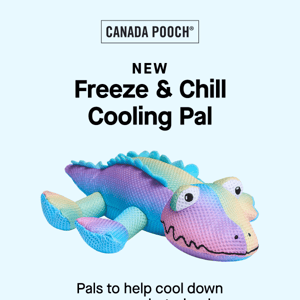 NEW Freeze & Chill Cooling Pal 💙