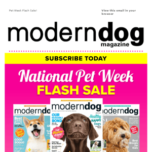 Pet Week Flash Sale: Get 1 Year for $11!