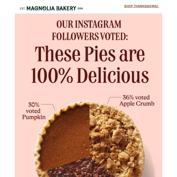 A Thanksgiving Pie Chart  🥧 📊