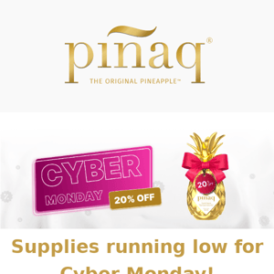 Pinaq  Cyber Monday is on! 🍍