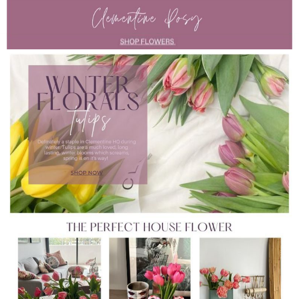 This week at Clementine Posy, tulips to die for 🌷 and so much more...