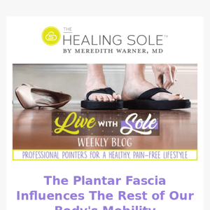 The Plantar Fascia Influences The Rest of Our Body's Mobility