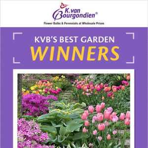 Announcing our summer garden contest winners!🏆