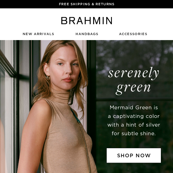 Brahmin deals discount