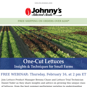 Free Webinar: One-Cut Lettuces