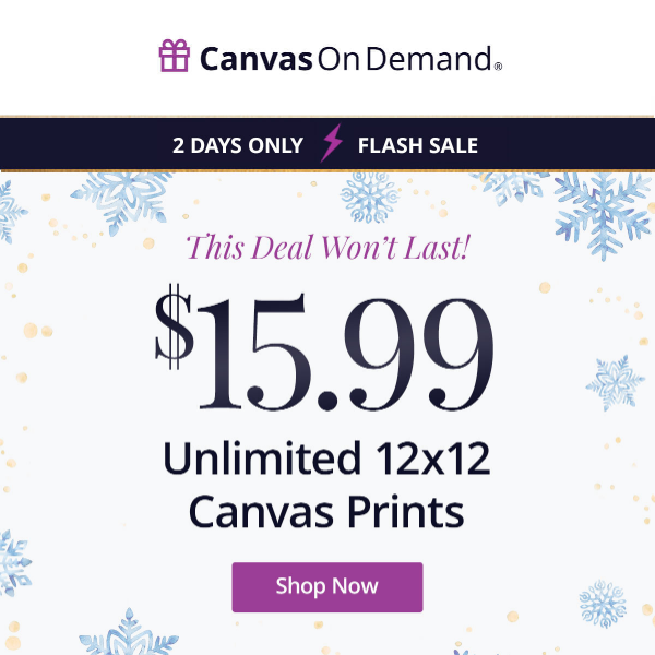⚡FLASH SALE⚡ two days only! ♾️ Unlimited 12x12 canvas prints for $15.99 each!