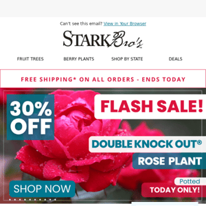 ⚡🌹 FLASH SALE! 30% off Double Knock Out® Rose - Today Only!