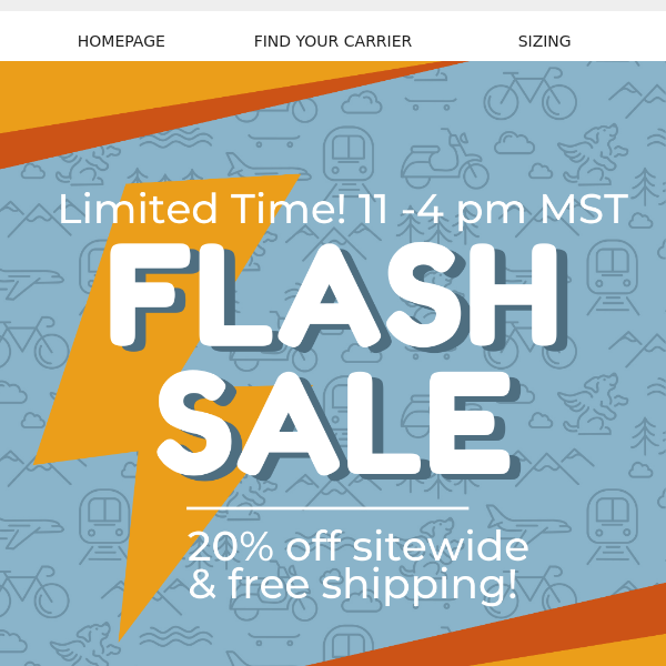 20% OFF FLASH SALE