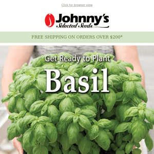 Grow a Healthy Basil Crop with Johnny’s Seeds